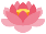 蓮の花アイコン